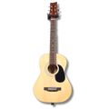 Guitar Rental